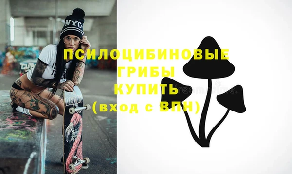 mdpv Дмитриев