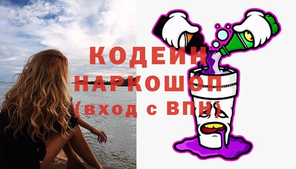крисы Ельня