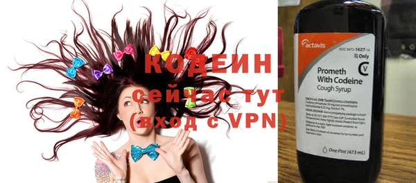 крисы Ельня