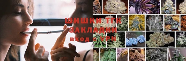 крисы Ельня