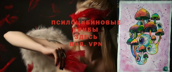 mdpv Дмитриев