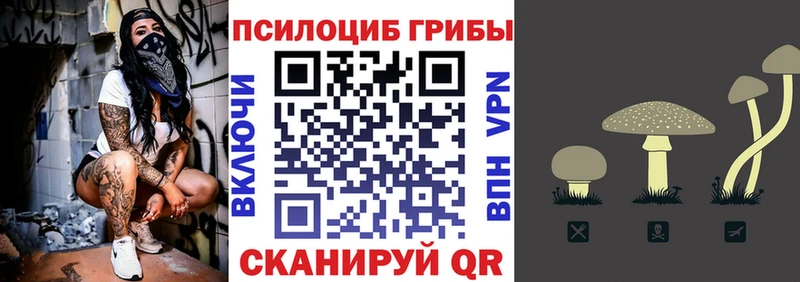 Галлюциногенные грибы Magic Shrooms  купить наркотики цена  Гаврилов-Ям 